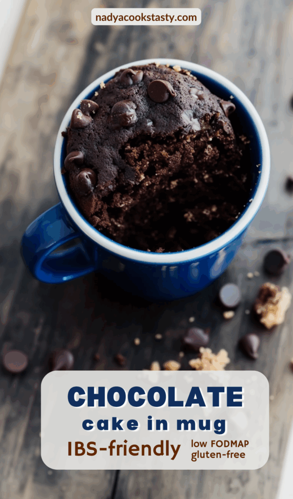 a mug of chocolate chip cake